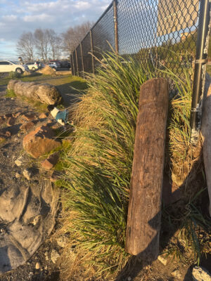 a fenced in area with a rock wall and a rock wall (MyCoast AI)