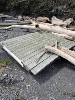 a pile of wood (MyCoast AI)