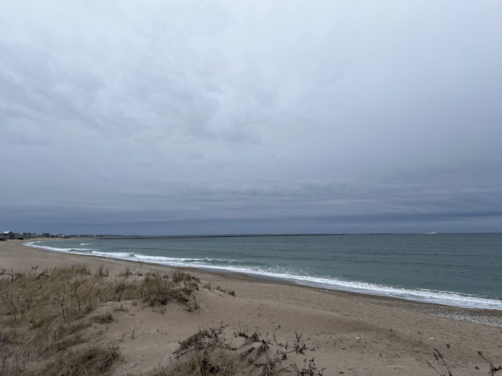 a beach with sand and water (MyCoast AI)