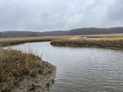 a body of water with grass and trees around it (MyCoast AI)