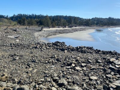 a rocky beach with a body of water and trees in the background (MyCoast AI)