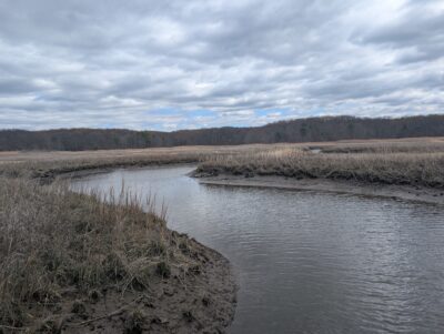 a body of water with grass and trees around it (MyCoast AI)
