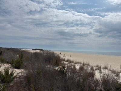 a person walking on a beach (MyCoast AI)