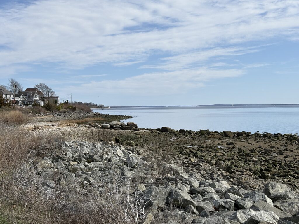 a rocky beach with a house in the background (MyCoast AI)