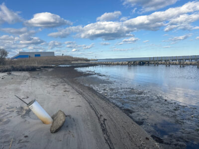 a beach with a pier and a body of water (MyCoast AI)