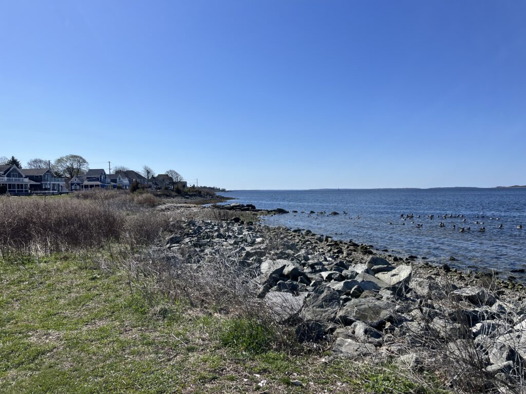 a rocky beach with houses along it (MyCoast AI)