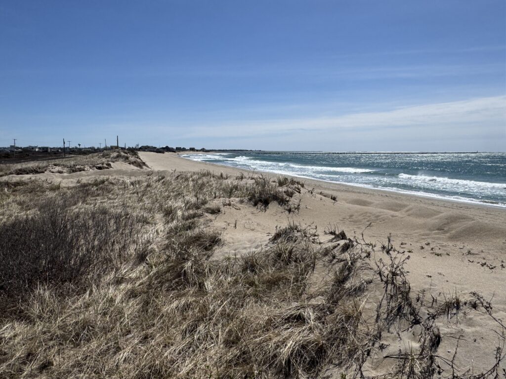 a sandy beach with waves crashing on it (MyCoast AI)