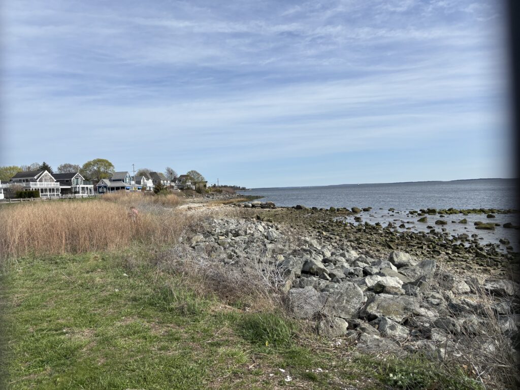 a rocky beach with houses and water (MyCoast AI)