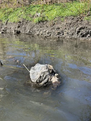 Bolsa de plástico en el río Bronx.