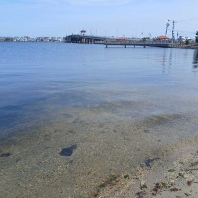 a pier with a building in the distance (MyCoast AI)