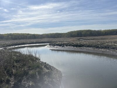 a body of water with snow and trees in the background (MyCoast AI)