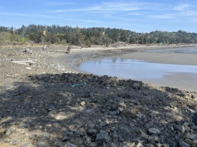 a rocky beach with trees in the background (MyCoast AI)