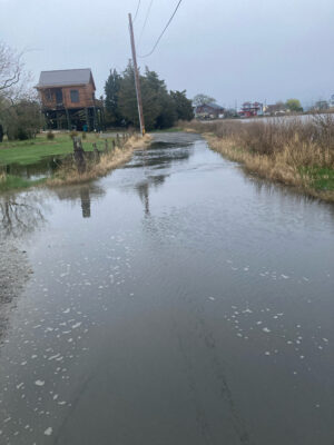 a flooded road with houses on either side of it (MyCoast AI)