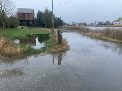 a flooded area with houses and trees (MyCoast AI)