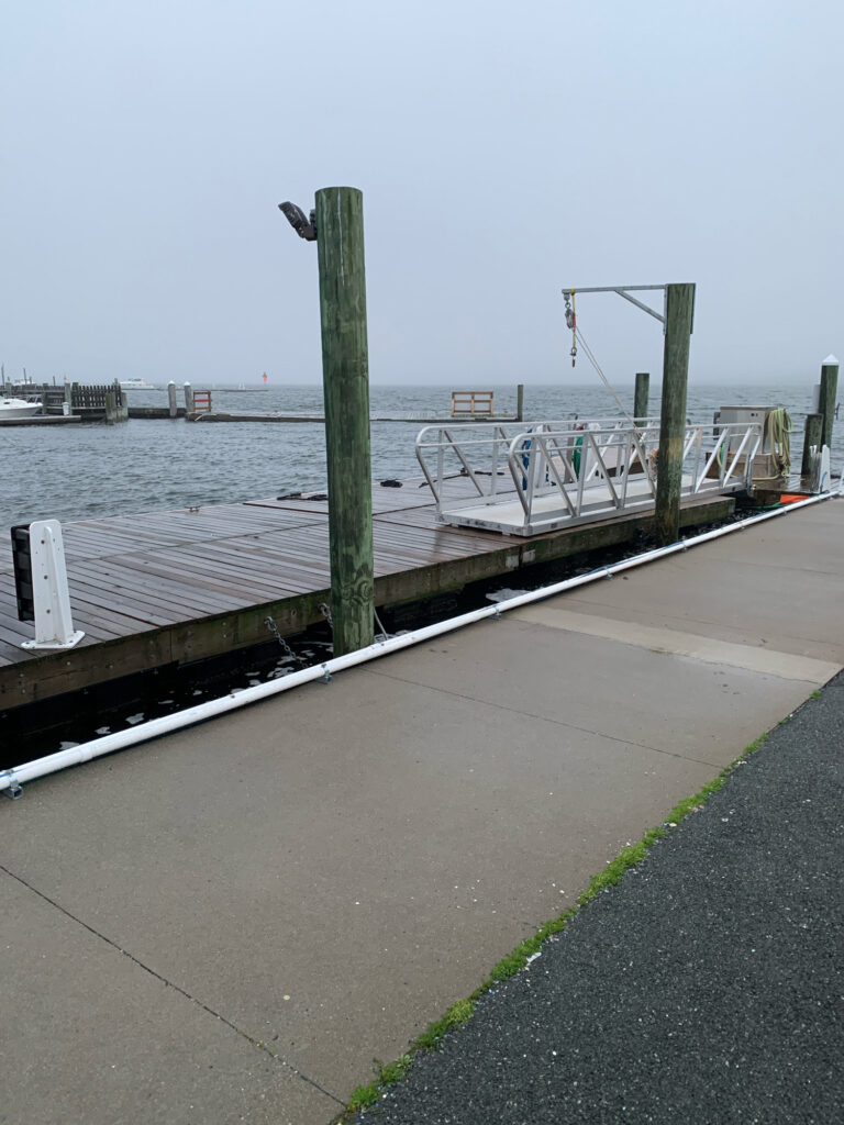 a bird on a dock (MyCoast AI)