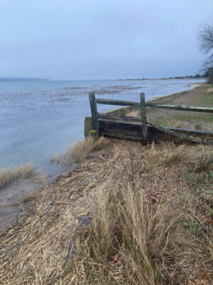 a wooden bench on a beach (MyCoast AI)