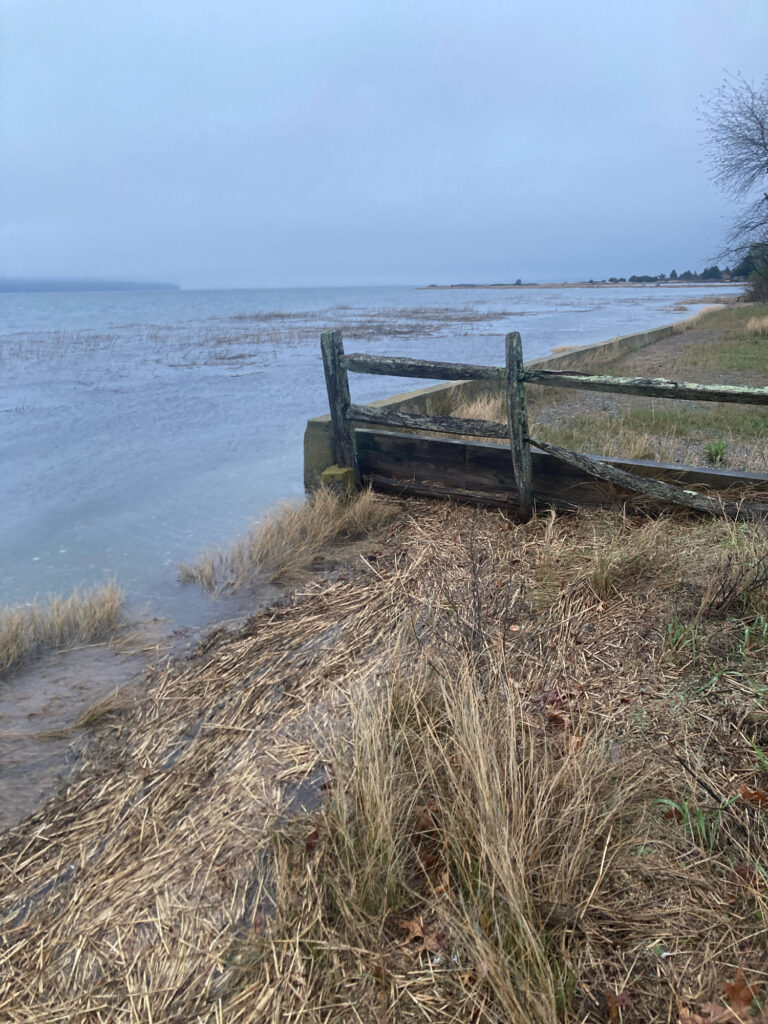 a wooden bench on a beach (MyCoast AI)