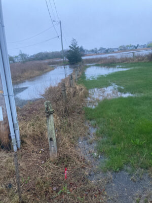 a river with grass and a bridge (MyCoast AI)