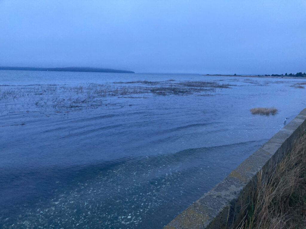 a body of water with land in the distance (MyCoast AI)