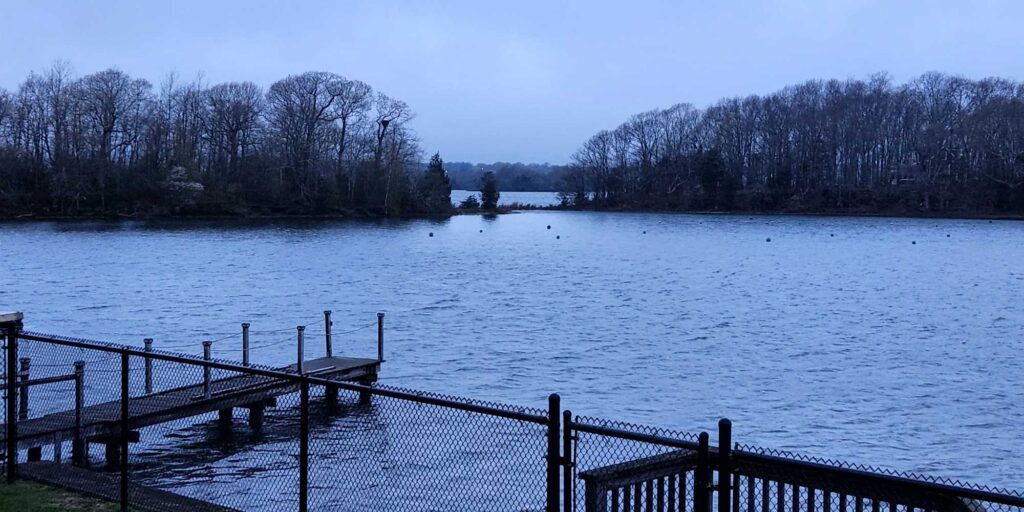 a body of water with trees in the background (MyCoast AI)