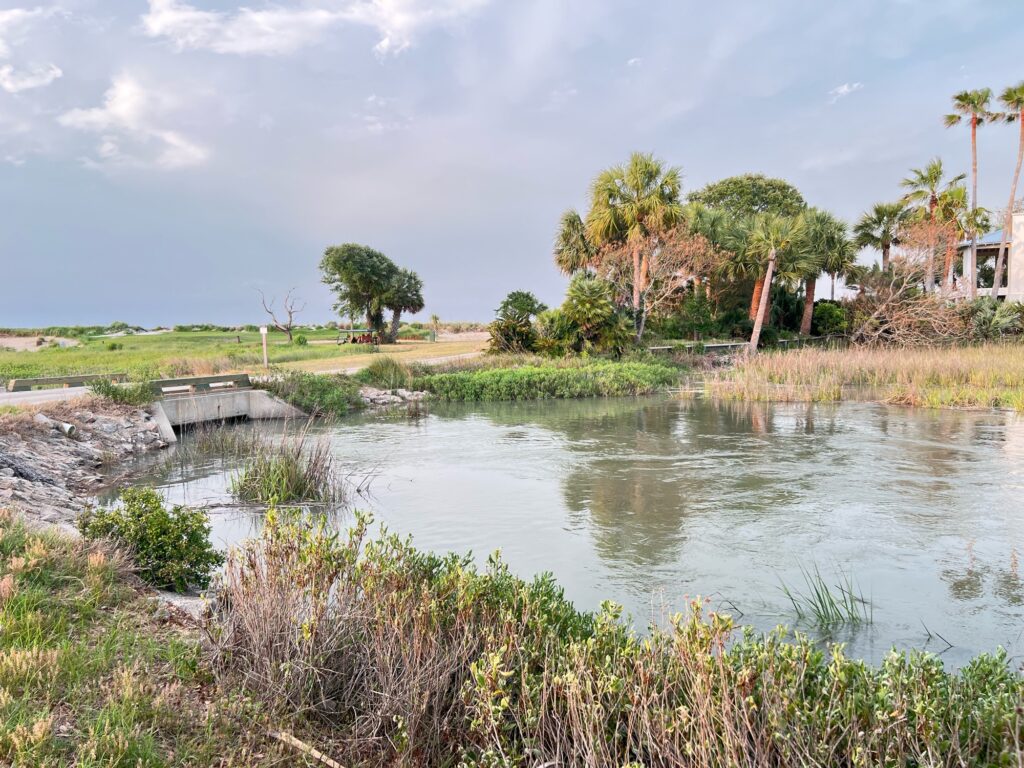 a body of water with grass and trees around it (MyCoast AI)