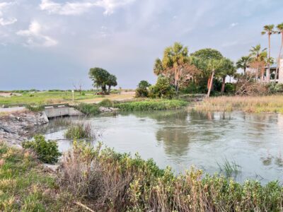 a body of water with grass and trees around it (MyCoast AI)