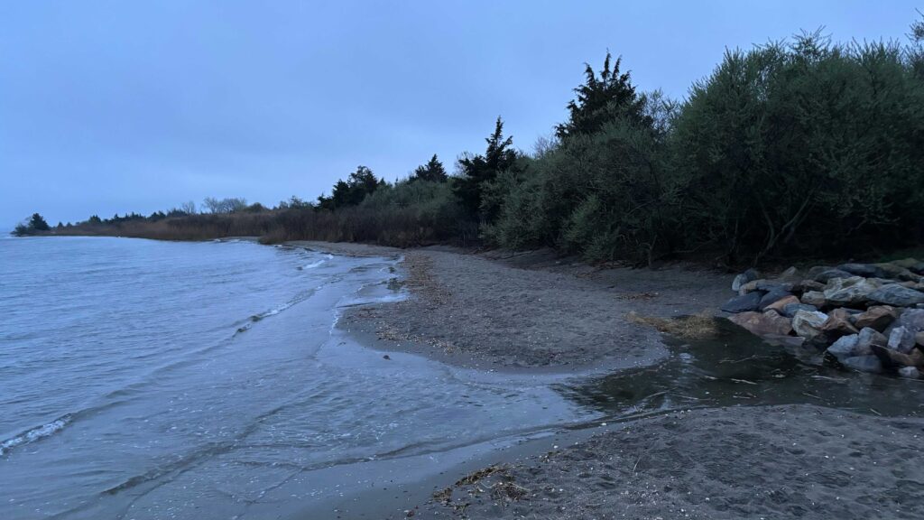a beach with rocks and trees (MyCoast AI)