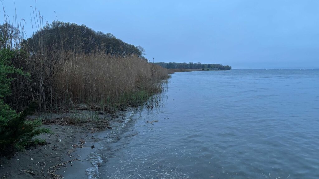 a body of water with trees on the side (MyCoast AI)