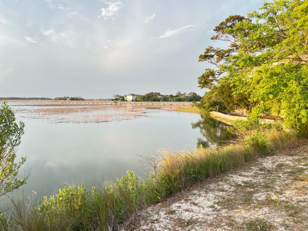 a body of water with trees around it (MyCoast AI)