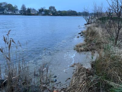 a body of water with grass and trees around it (MyCoast AI)