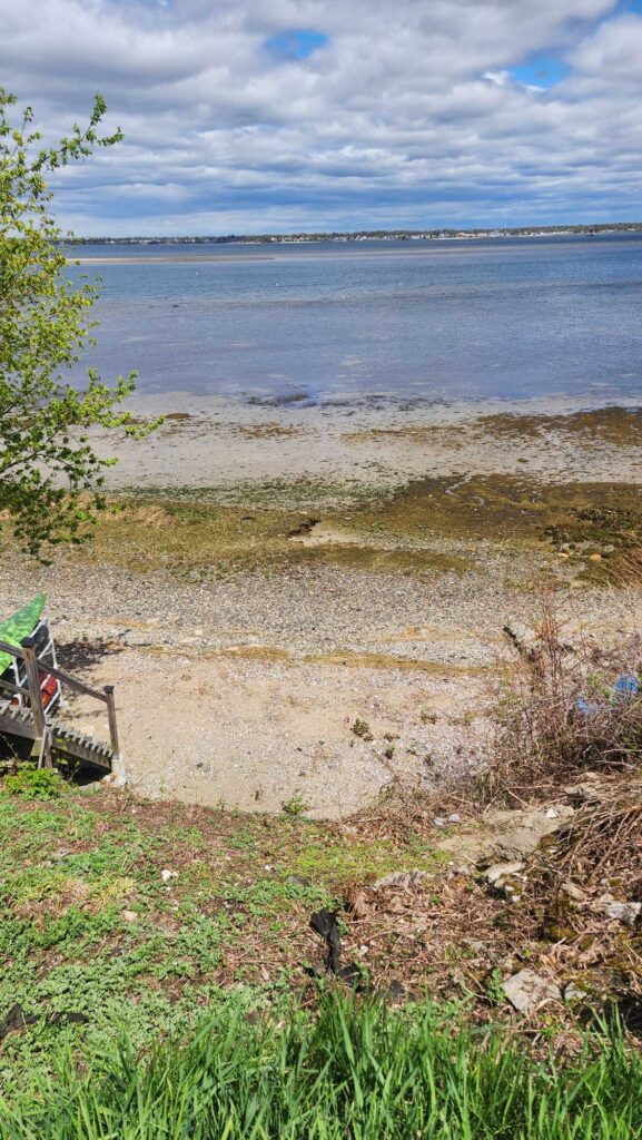 a beach with a body of water (MyCoast AI)
