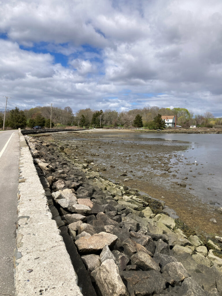 a road next to a body of water (MyCoast AI)