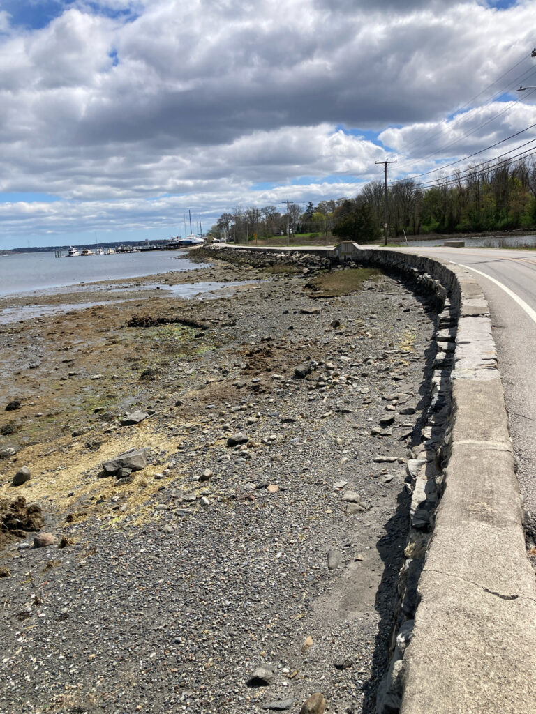 a road next to a beach (MyCoast AI)