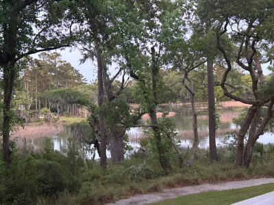 a river with trees and grass (MyCoast AI)