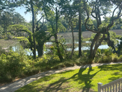 a path with grass and trees by a body of water (MyCoast AI)