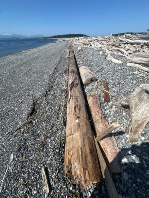a wooden fence on a beach (MyCoast AI)