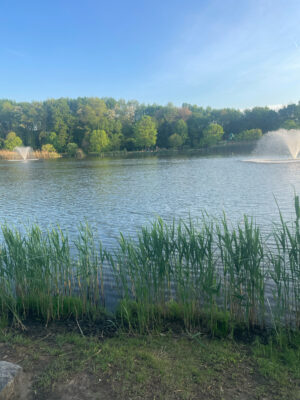 a body of water with grass and trees around it (MyCoast AI)