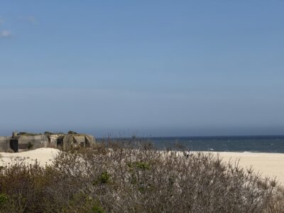 a beach with bushes and a building (MyCoast AI)