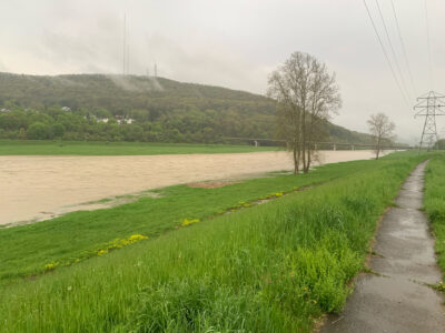 a road with grass and trees on the side (MyCoast AI)