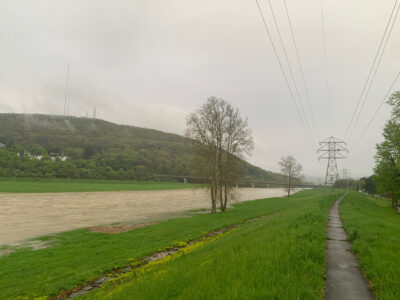 a dirt road with grass and trees on either side of it (MyCoast AI)