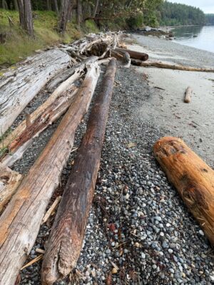 a wood bench on a rocky beach (MyCoast AI)