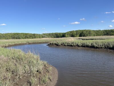 a river with grass and trees (MyCoast AI)