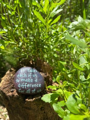 a rock with a label on it surrounded by plants (MyCoast AI)