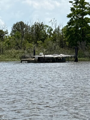 a dock on a lake (MyCoast AI)