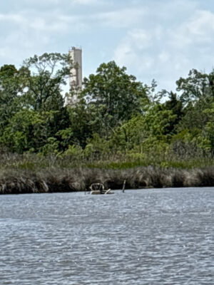 a body of water with trees and a tower in the background (MyCoast AI)