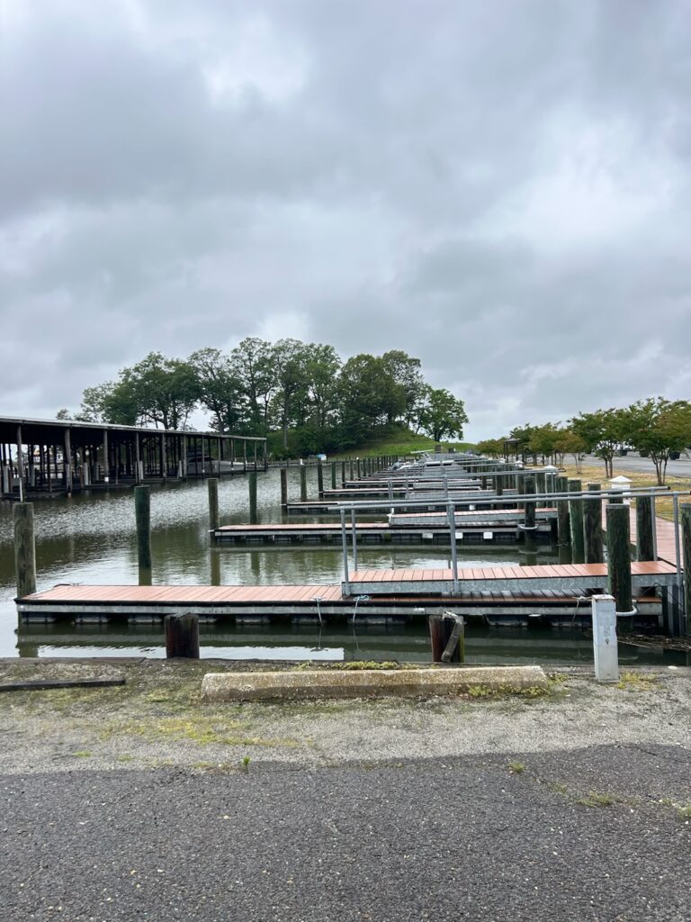 a bridge over a body of water (MyCoast AI)