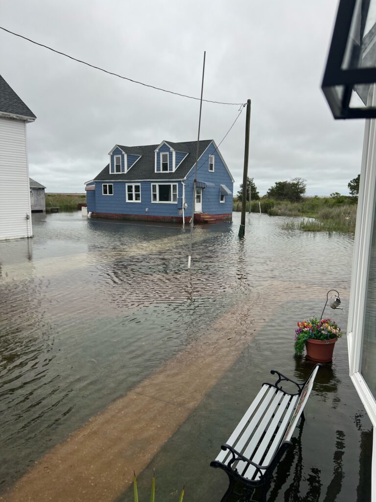 a bench in a flooded area (MyCoast AI)