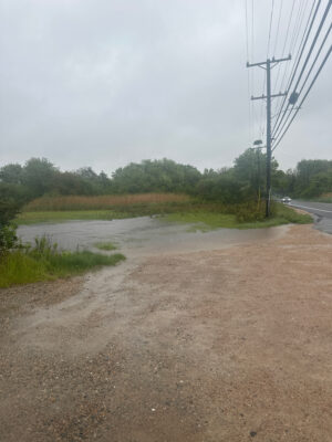 a road with a puddle on the side and trees on the side (MyCoast AI)