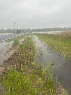 a road with grass and water on the side (MyCoast AI)