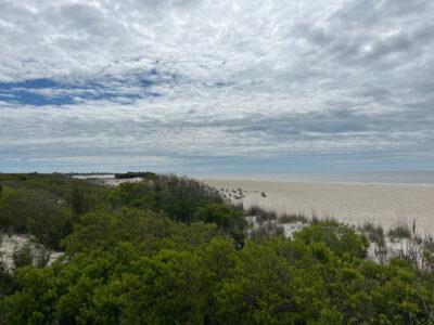 a beach with trees and a body of water in the background (MyCoast AI)